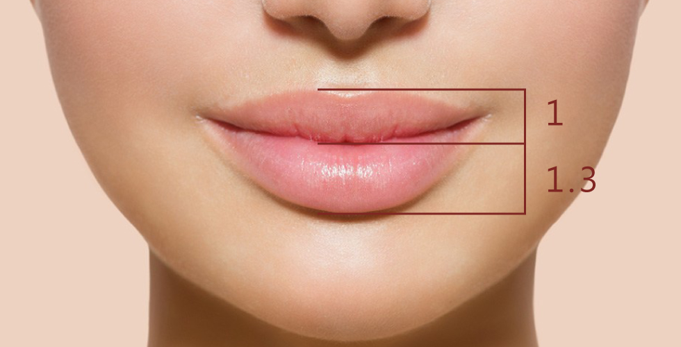 亞洲人最適合的上唇下唇比例約為1︰1.3。